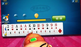 jj斗地主91直播,精彩对决，激情四溢的斗地主盛宴