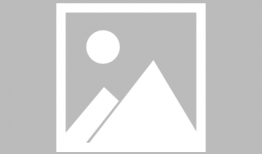 日批视频网站,热门内容盘点与趋势分析